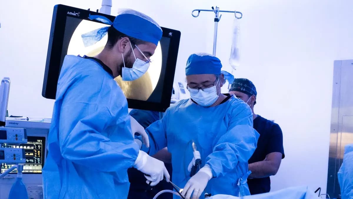 Más allá de la histerectomía: un enfoque integral para tratar la endometriosis