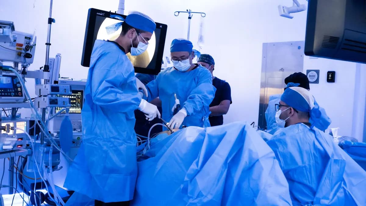 Deep Endometriosis Surgery: A Highly Complex Procedure